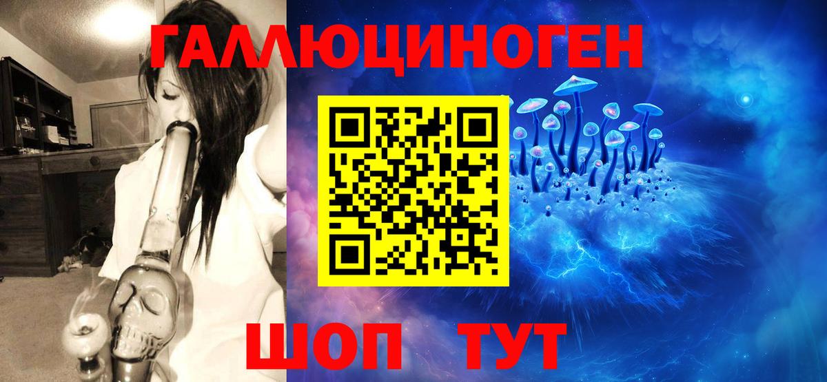 Псилоцибиновые грибы мицелий Качканар